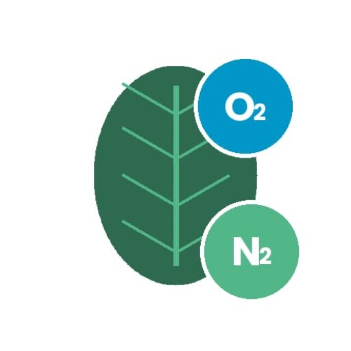 cropped logo preliminar biogases.jpg.jpeg