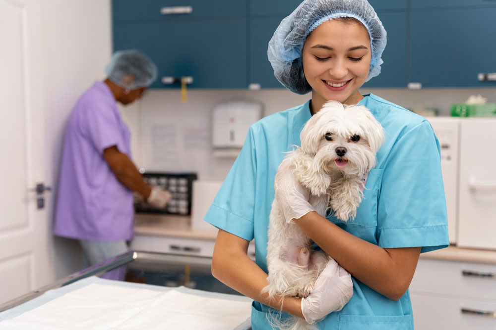 aplicacion veterinaria