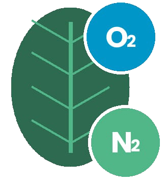 logo1 biogases 2